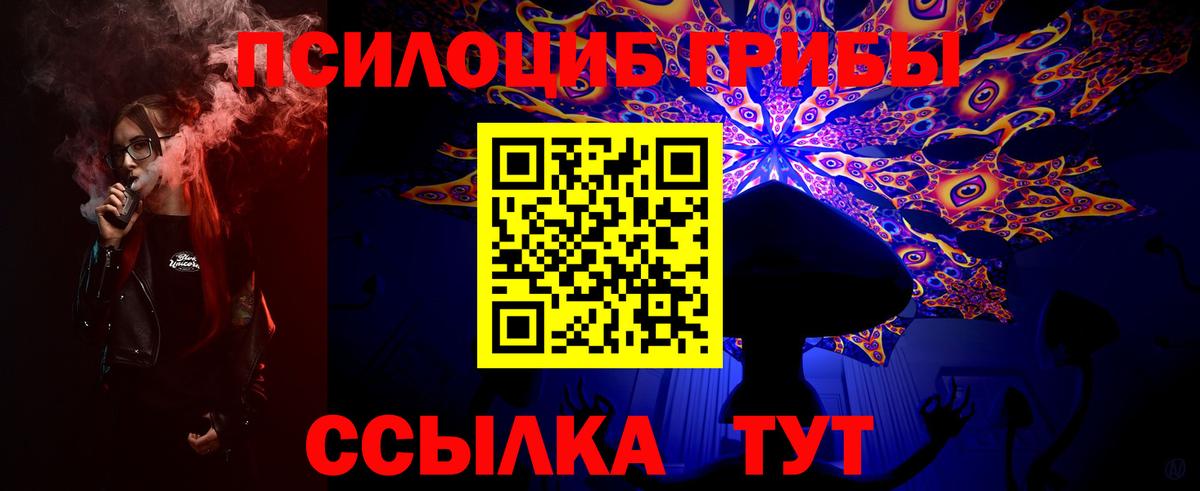 Баксан  Псилоцибиновые грибы Psilocybe  Галлюциногенные грибы мухоморы  Вход с VPN 