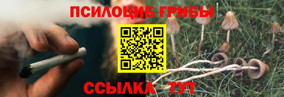 Галлюциногенные грибы ЛСД Баксан